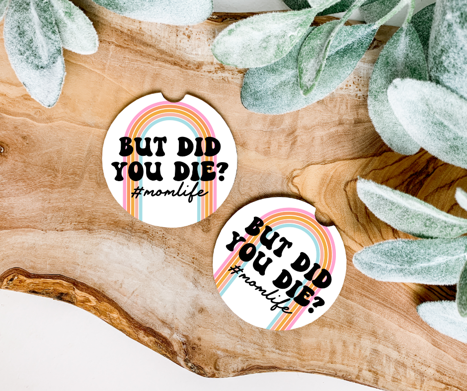 But did you die? Car Coaster